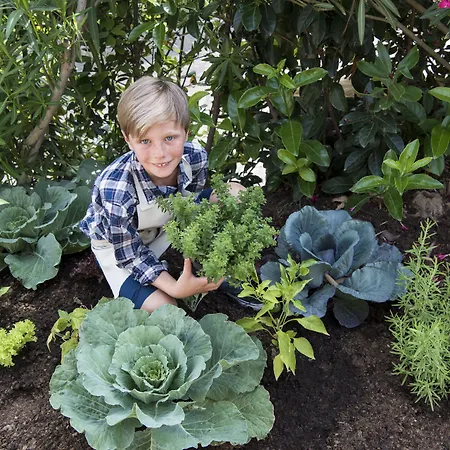 Hotel Village - Le Palme